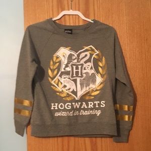 Hogwarts Gold and Gray sweater